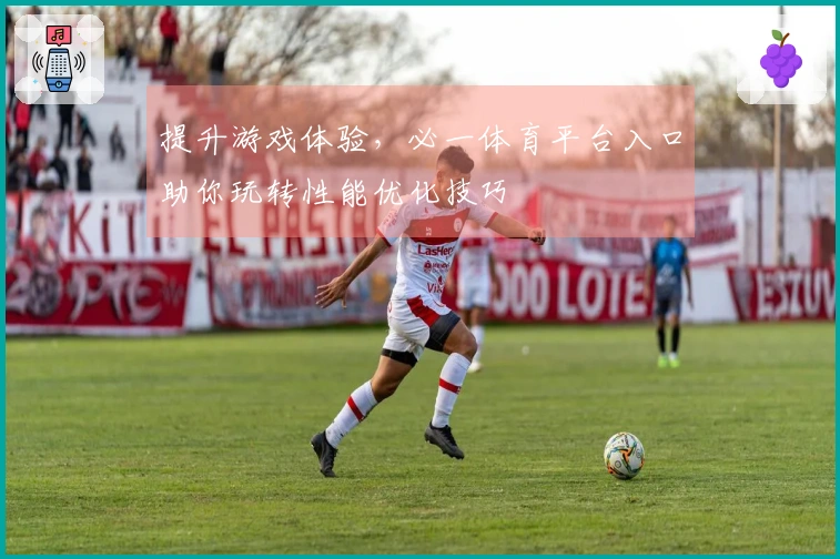提升游戏体验，必一体育平台入口助你玩转性能优化技巧