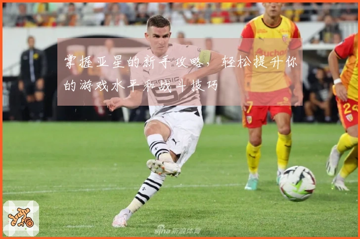 掌握亚星的新手攻略，轻松提升你的游戏水平和战斗技巧